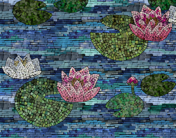 waterlily